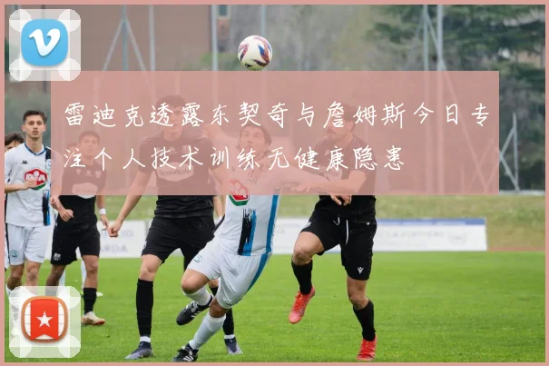 雷迪克透露东契奇与詹姆斯今日专注个人技术训练无健康隐患