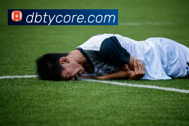 DB体育平台生态图